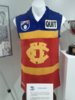 fitzroy bulldogs.jpeg
