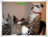 1592963928453.png