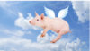 FlyingPig.jpg