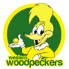 Woodpeckers!.png