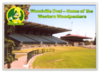 Woodville Oval - Woodpeckers Home.png