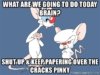 what-are-we-going-to-do-today-brain-shut-up-keep-papering-over-the-cracks-pinky.jpg
