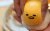 capture.gif