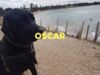giphy (4).gif