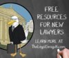 Legal Seagull.jpg