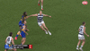 nic3.gif