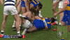 nic4.gif