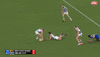 nic7.gif