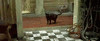 glitch.gif