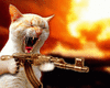 m gun Kitty.gif