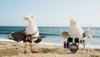 Flock of Seaguls.gif