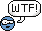 wtf.gif