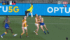 nic3.gif