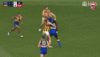 nic7.gif