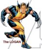 Bigfooty Logan 3.jpg