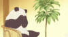 tenor (5).gif