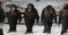Dancing_monkeys.gif