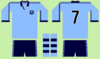 NSW 1980–81.png