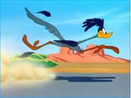 Roadrunner