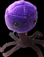bacteriophage