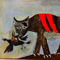 Siamese Cat