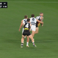 Anythings_sipposible