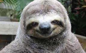 Sloth Lord