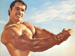 KingJ