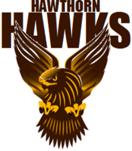 indianhawks