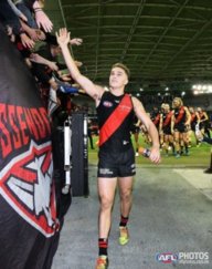 MightyDons4
