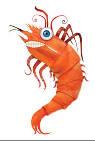Shaun the Prawn