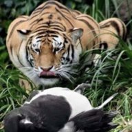 Tiger Soze