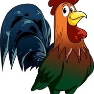Rooster76