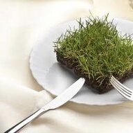 Matt_Rowells_last_meal