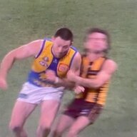 Dom sheed pocket