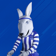 BlueanWhiteKanga