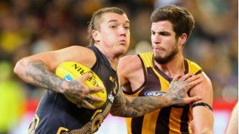 jarrod_island_doggies