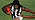 PiesUnited