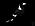 magpies1