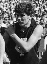 AndyLucimitis