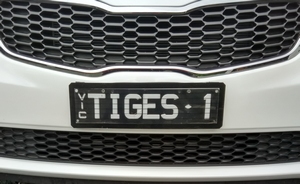 tiges1