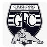 gogeelongcats