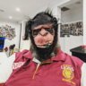 Davemonkey