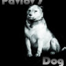 pavlovsdog