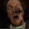 Fat Tarantula