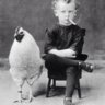 Boy with chook