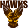 indianhawks