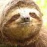 Sloth