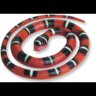 Rubber Snake