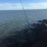 Jmusky